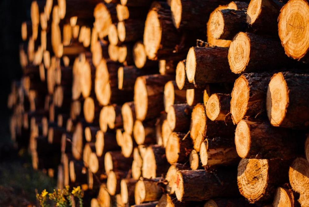 wood logs lumber wood logs lumber