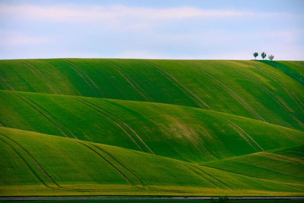 green grass grassland mountain landscape green grass grassland mountain landscape