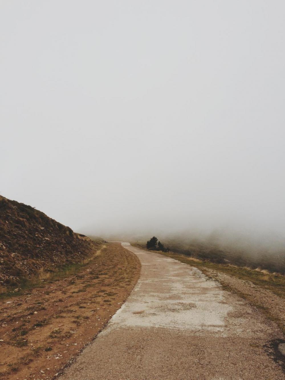 nature road pathway fog travel nature road pathway fog travel