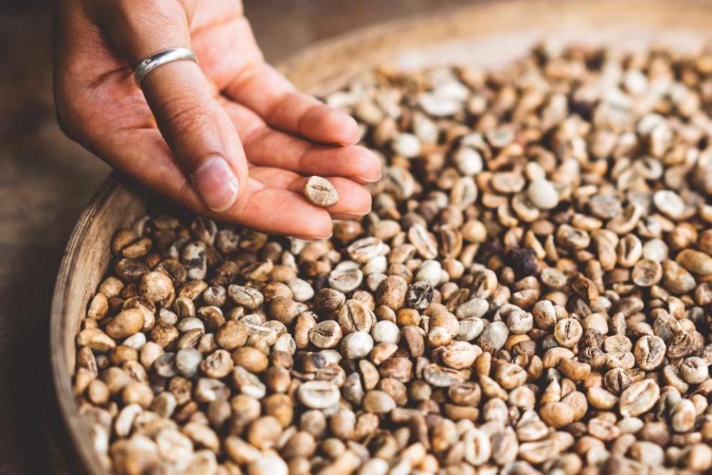 coffee bean hand ring livelihood coffee bean hand ring livelihood