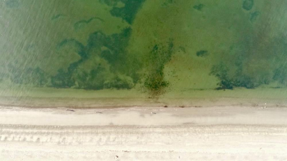 aerial beach shoreline sand ocean aerial beach shoreline sand ocean