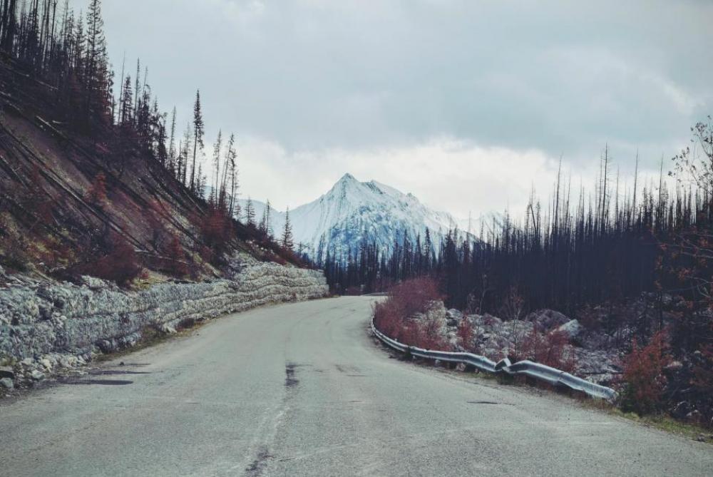 road landscape nature trees mountains road landscape nature trees mountains