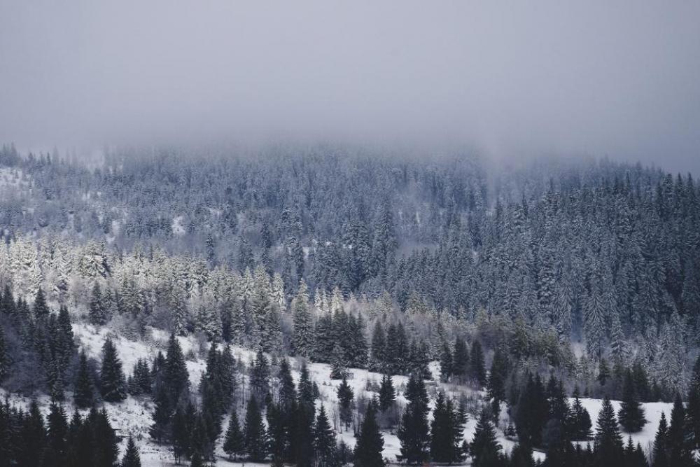 snow winter white cold weather snow winter white cold weather
