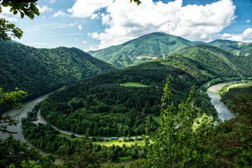 nature mountains slope trees lush nature mountains slope trees lush