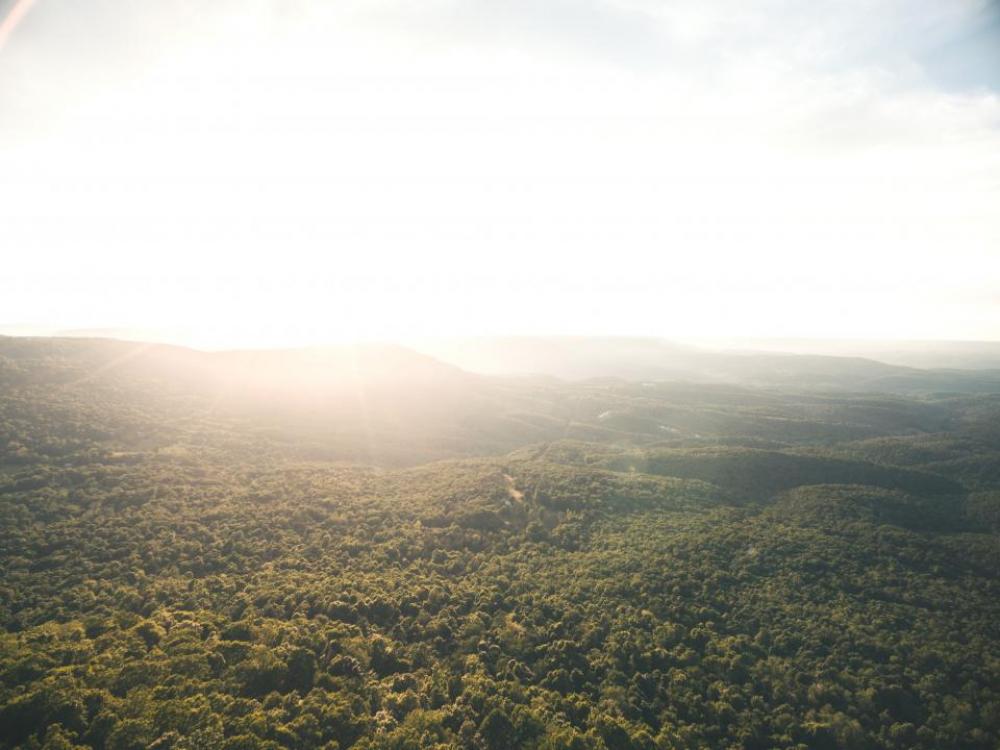 nature landscape trees woods forest nature landscape trees woods forest