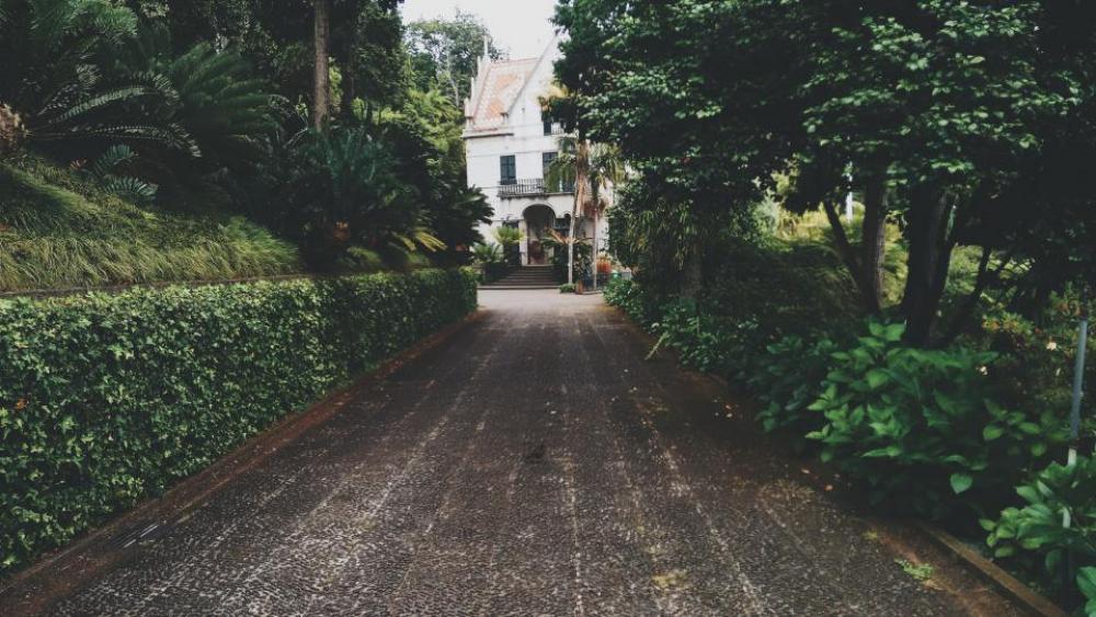 pathway house green plants trees pathway house green plants trees