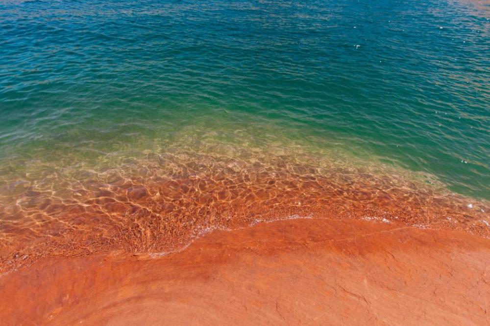 nature coast shore beach sand nature coast shore beach sand