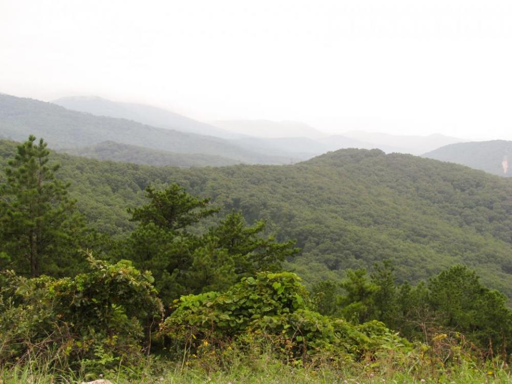 mountains hills trees green landscape mountains hills trees green landscape
