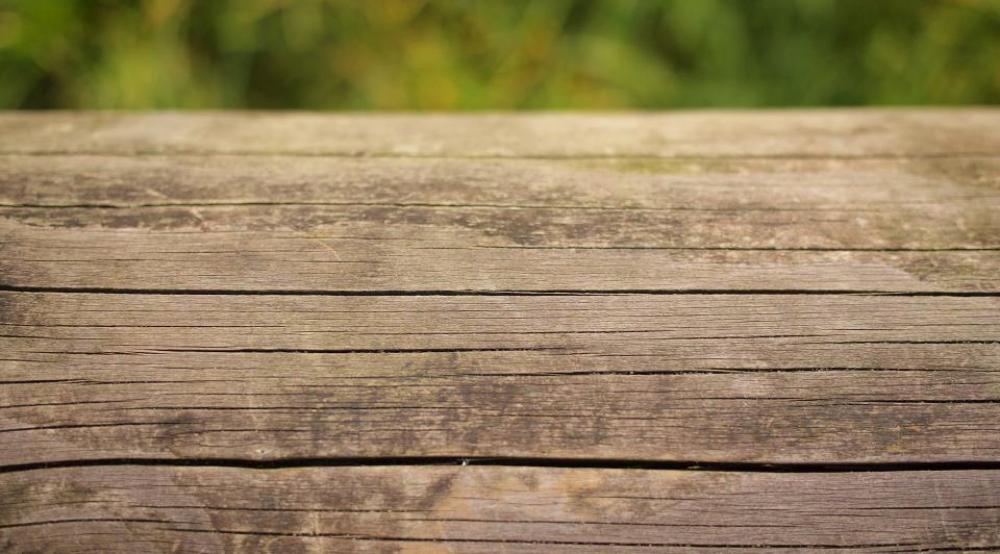 wood texture wood texture