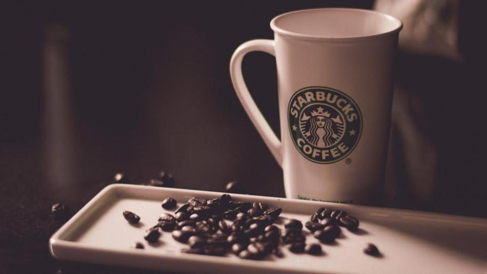 cup mug coffee seeds beans cup mug coffee seeds beans