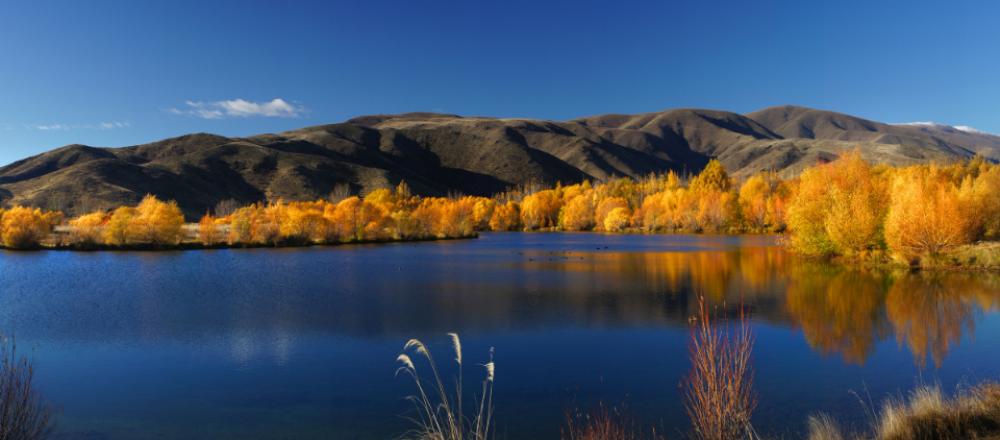 autumn foliage landscape trees water autumn foliage landscape trees water
