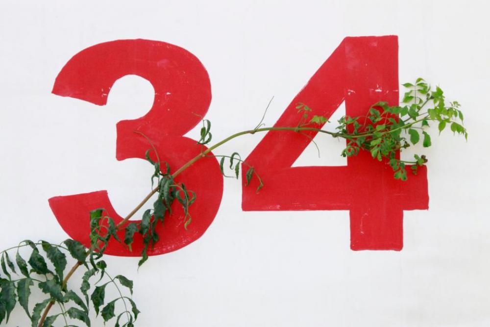 white wall numbers branch leaves white wall numbers branch leaves