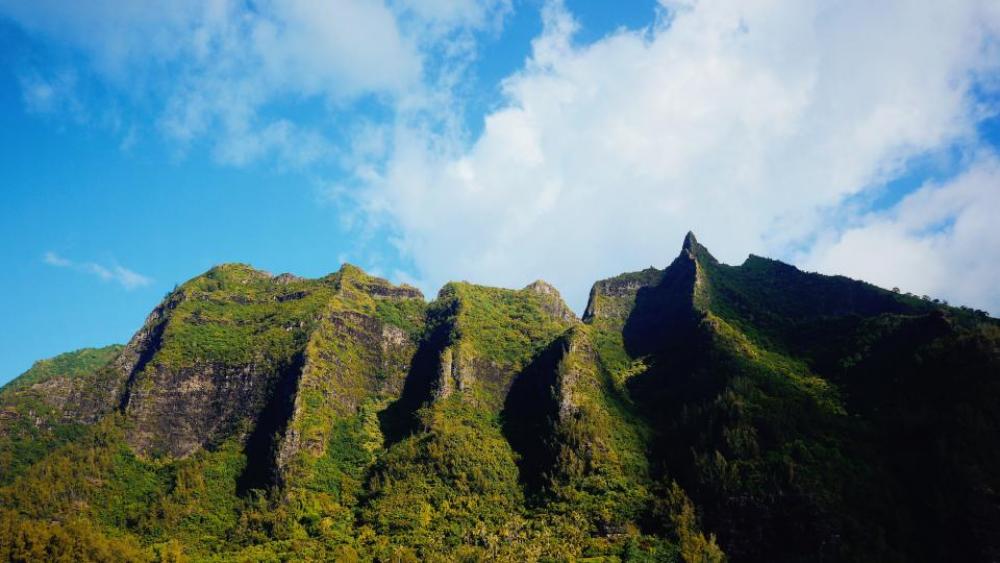 nature landscape mountains trees green nature landscape mountains trees green
