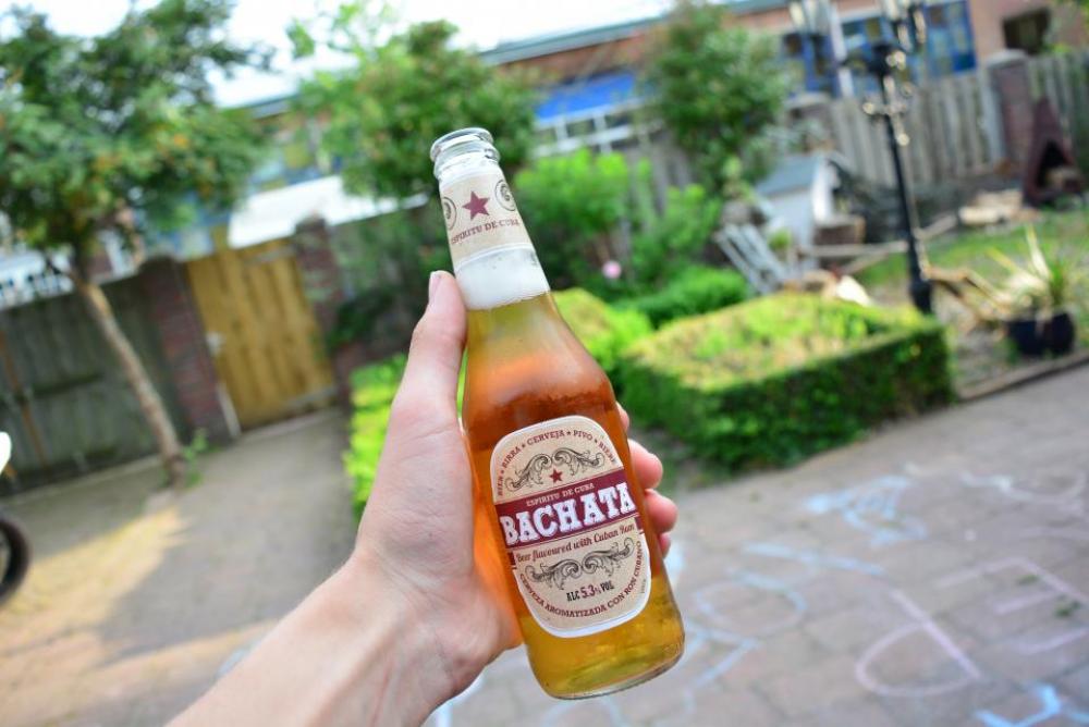 beer drink cold beverage bottle beer drink cold beverage bottle