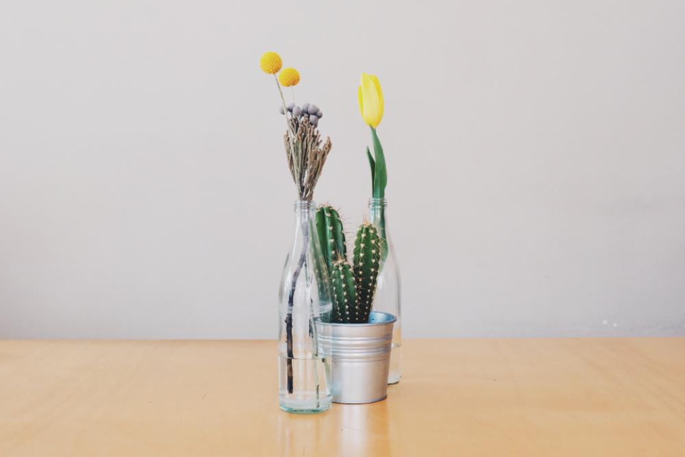 flowers vases cactus tulips decoration flowers vases cactus tulips decoration