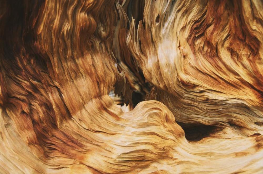 abstract brown painting art abstract brown painting art