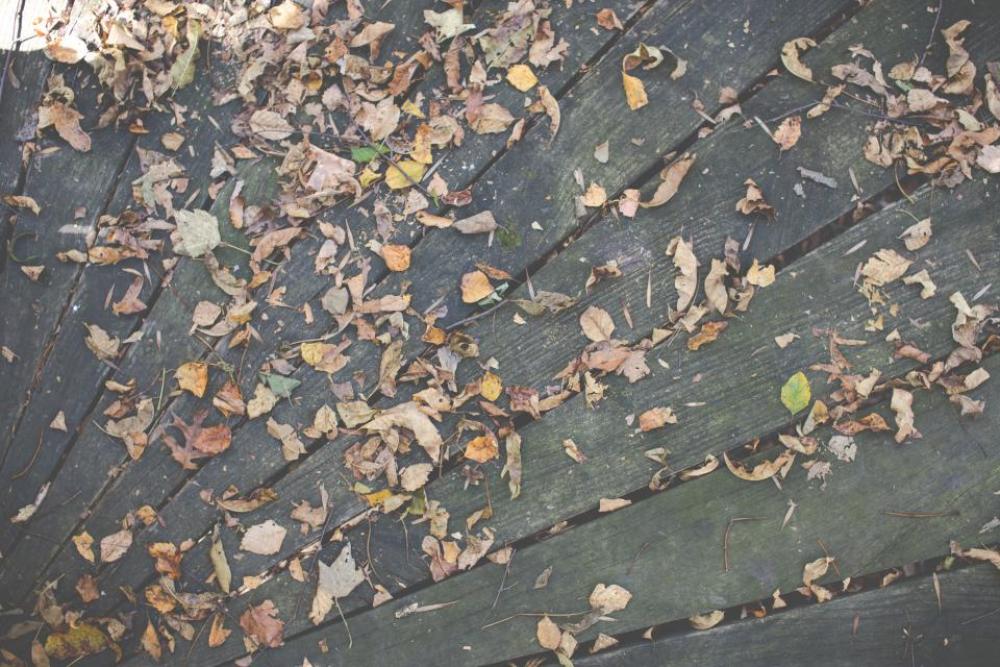 wood deck leaves autumn fall wood deck leaves autumn fall