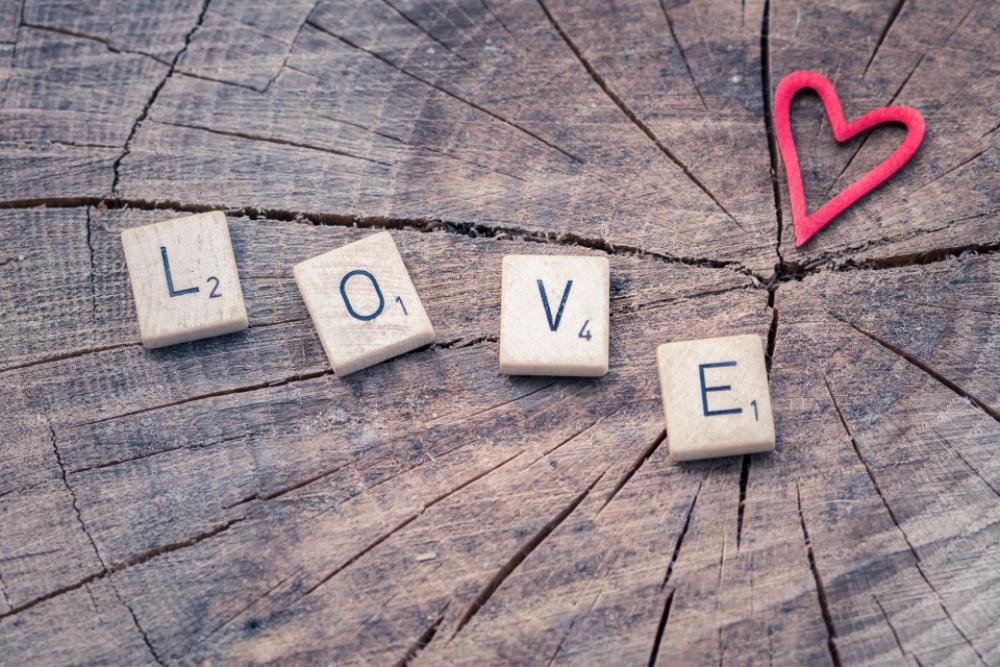 love letters wood log tree love letters wood log tree