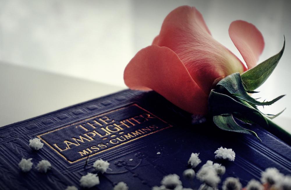 books reading novels literature old books books reading novels literature old books