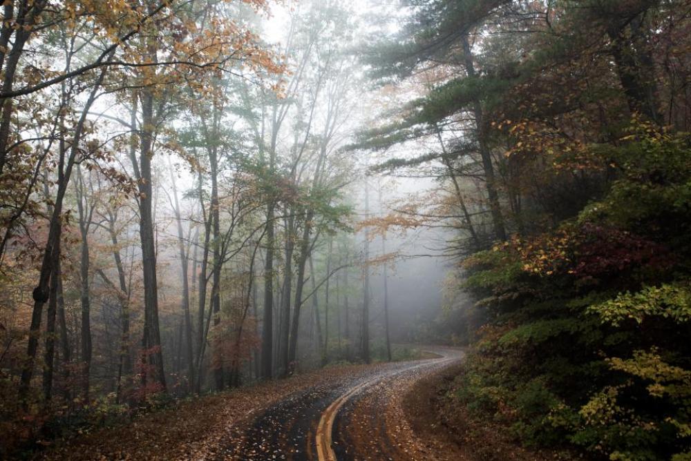 rural road countryside forest woods rural road countryside forest woods