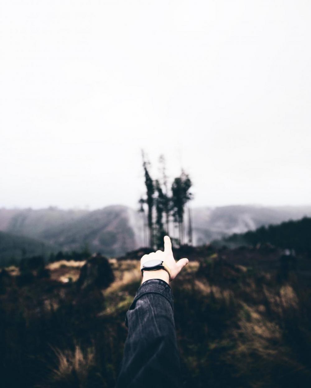 finger pointing hands watch nature finger pointing hands watch nature