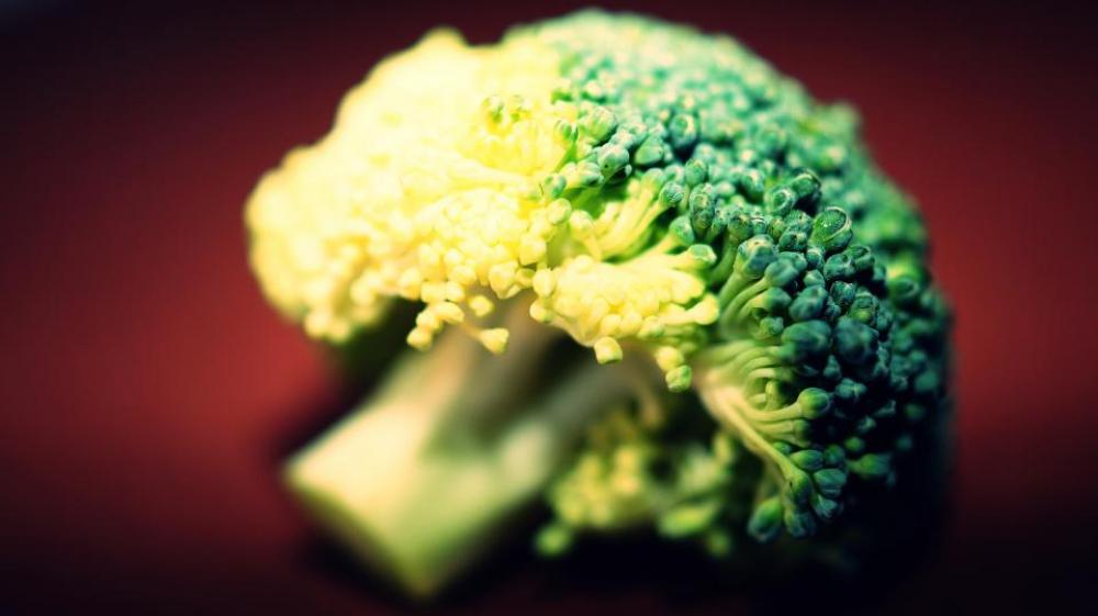 broccoli raw fresh food vegetation broccoli raw fresh food vegetation
