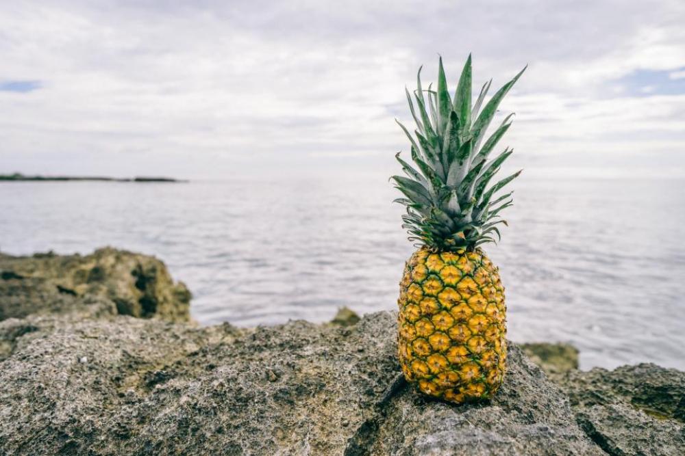 pineapple dessert appetizer fruit juice pineapple dessert appetizer fruit juice