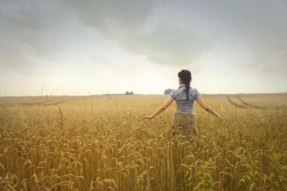 farm field woman clouds colors farm field woman clouds colors