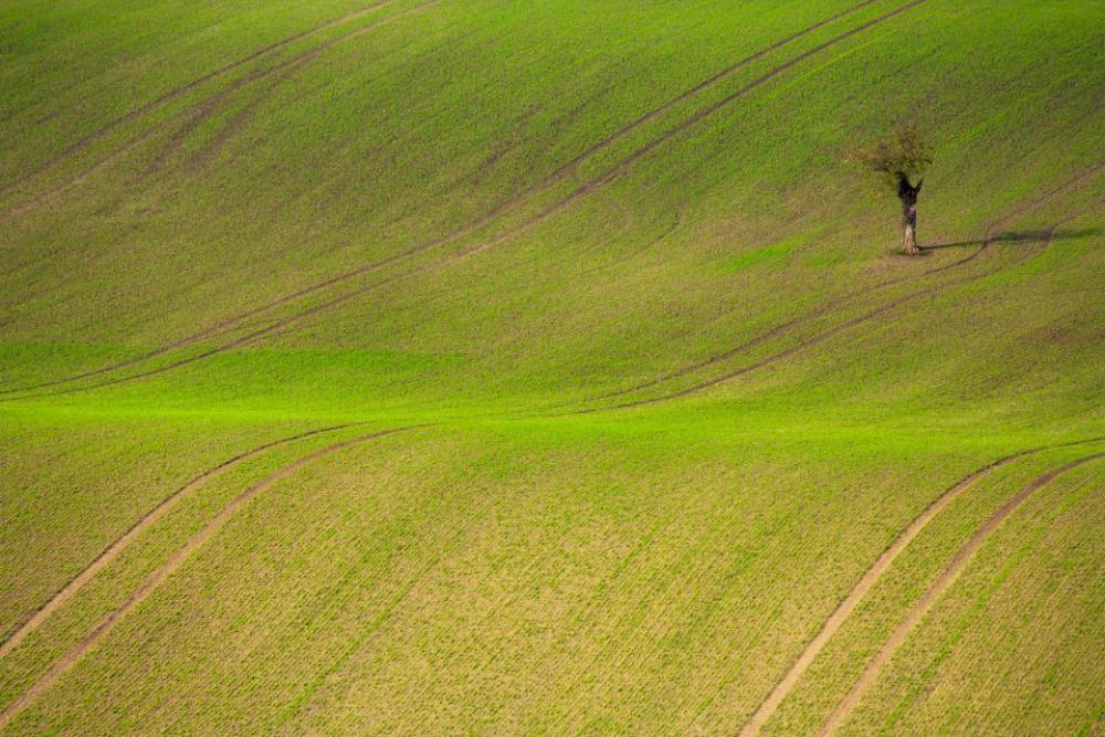 green grass grassland mountain landscape green grass grassland mountain landscape