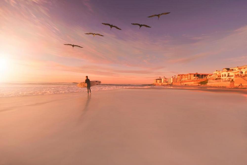 adventure guy trip surf bird adventure guy trip surf bird