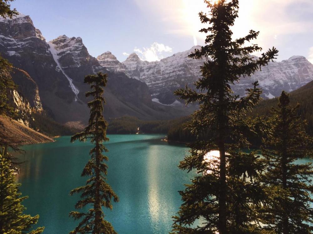 lake blue water green trees lake blue water green trees