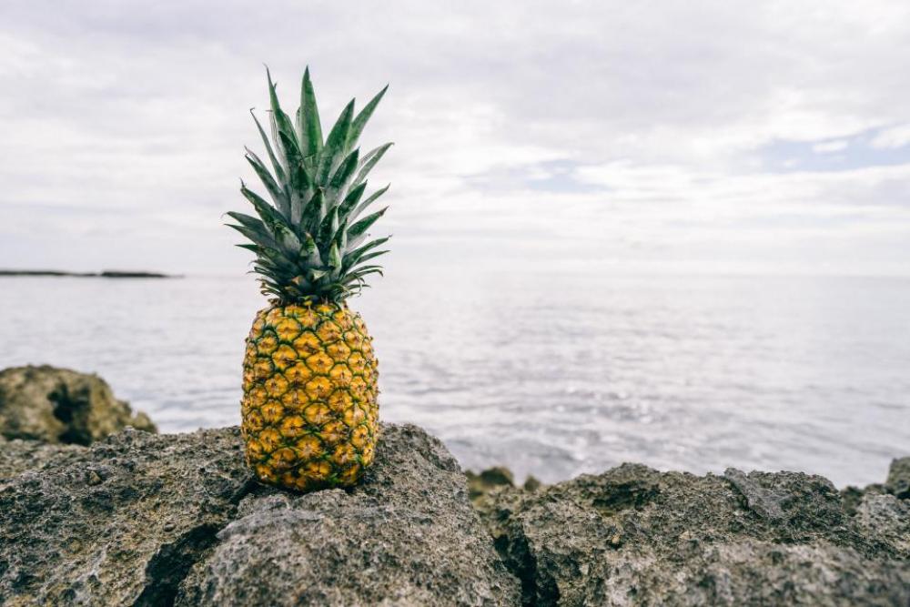 pineapple dessert appetizer fruit juice pineapple dessert appetizer fruit juice