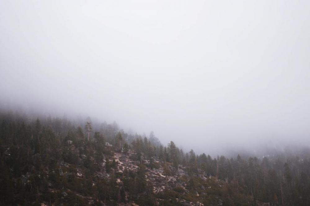 nature mountains slope trees plants nature mountains slope trees plants
