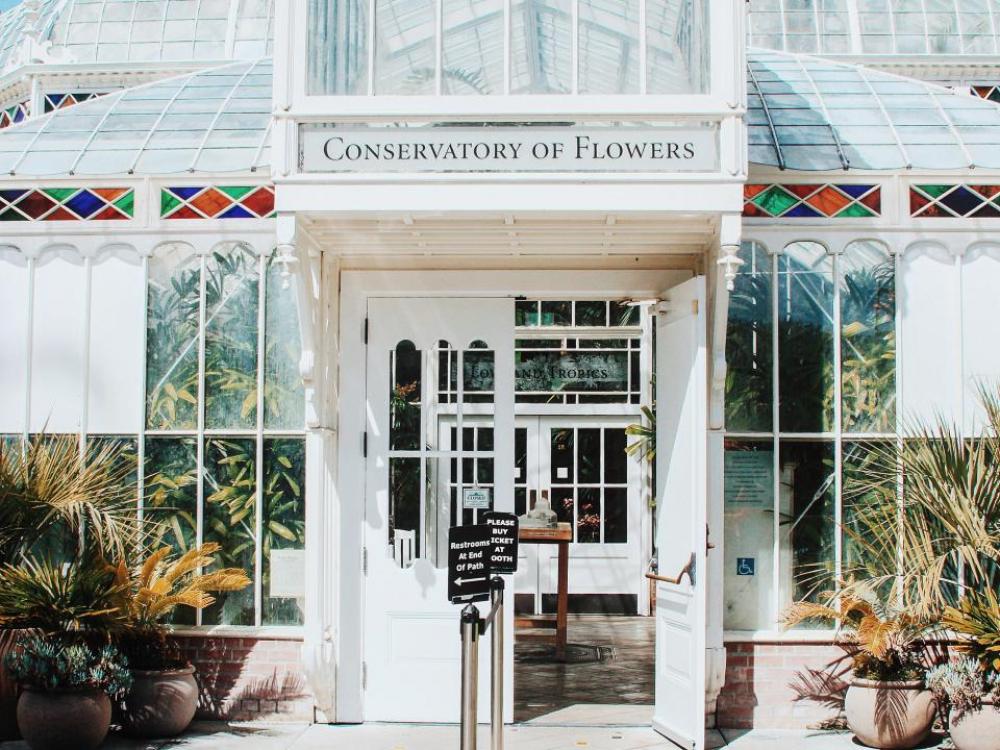 architecture building infrastructure plants flower architecture building infrastructure plants flower