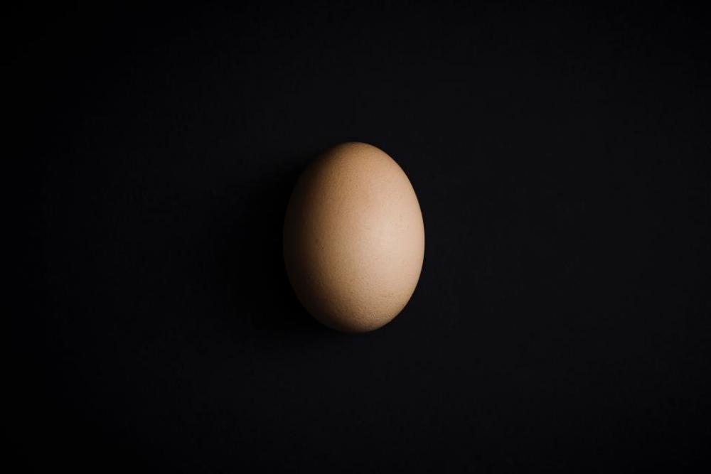 raw egg shell easter raw egg shell easter