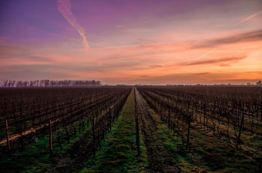 sunset dusk sky nature landscape sunset dusk sky nature landscape
