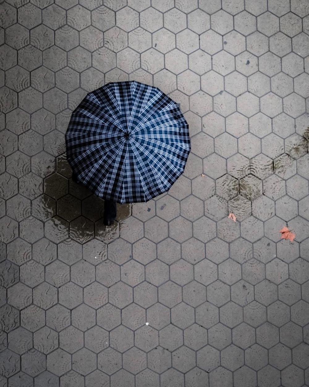 raining wet street water umbrella raining wet street water umbrella