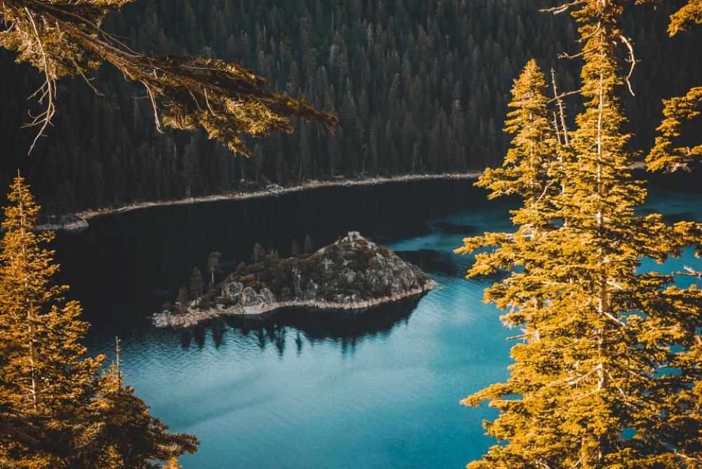blue lake water trees plant blue lake water trees plant