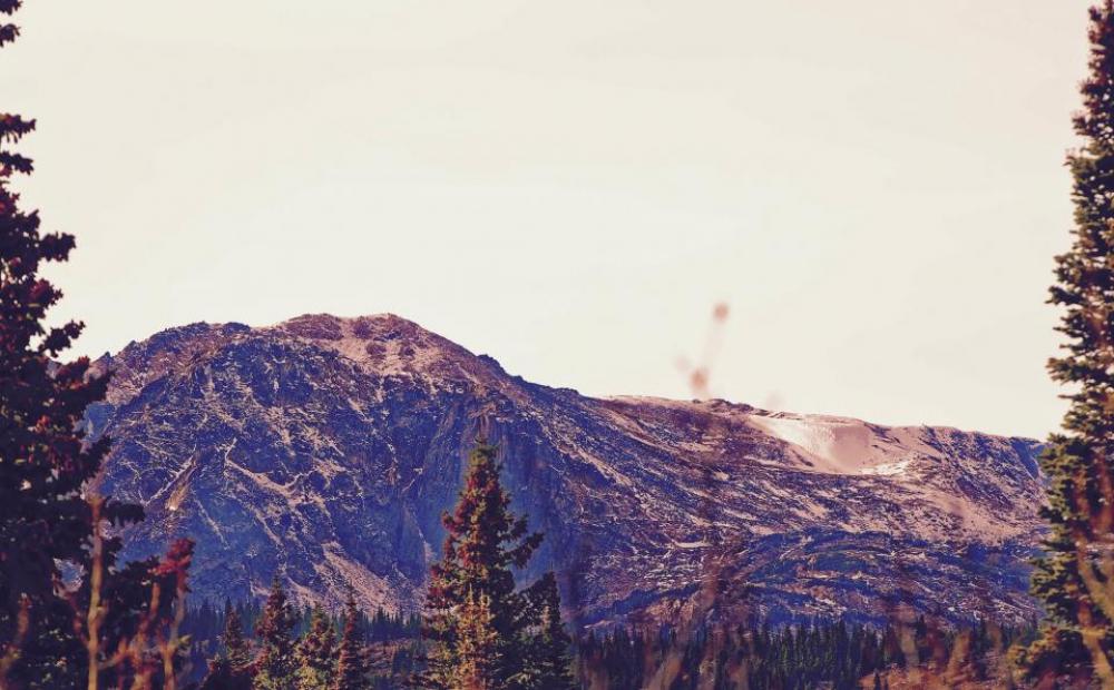 trees plant nature sky mountain trees plant nature sky mountain