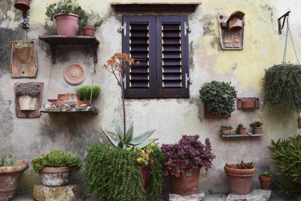 nature wall windows garden plants nature wall windows garden plants