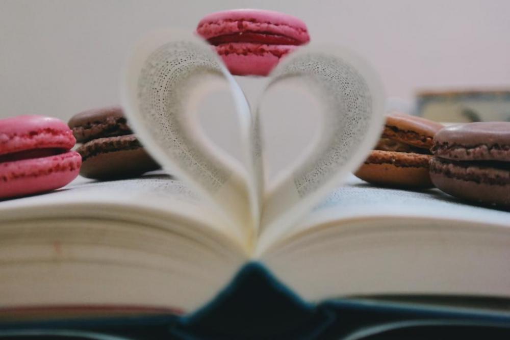 book read study cookie macaroon book read study cookie macaroon