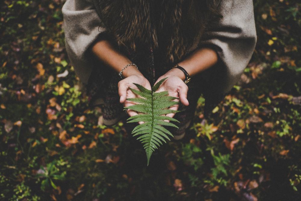 woman holding leave tree nature woman holding leave tree nature