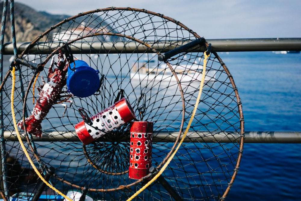 fishing net boat fishing net boat