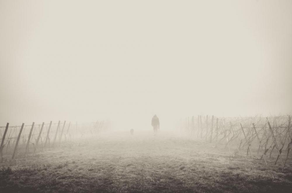 fog foggy nature people shadow fog foggy nature people shadow