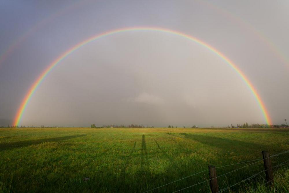nature landscape plains farm grass nature landscape plains farm grass