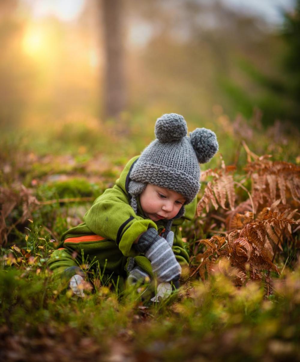 grass green leaf fall people grass green leaf fall people
