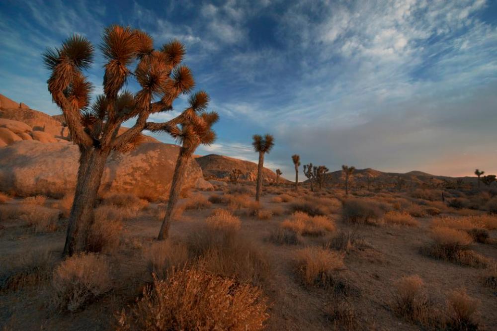desert sand adventure travel sky desert sand adventure travel sky
