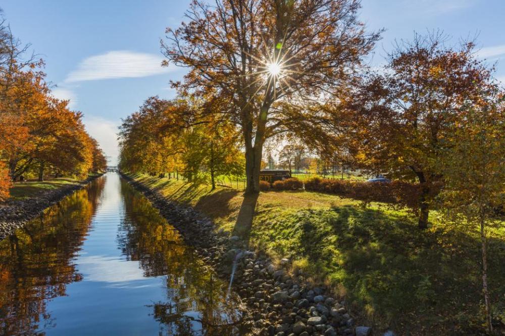 nature river trees plants autumn nature river trees plants autumn
