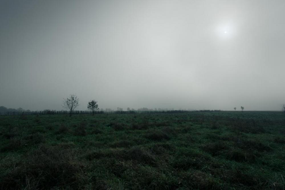 green grass highland landscape horizon green grass highland landscape horizon