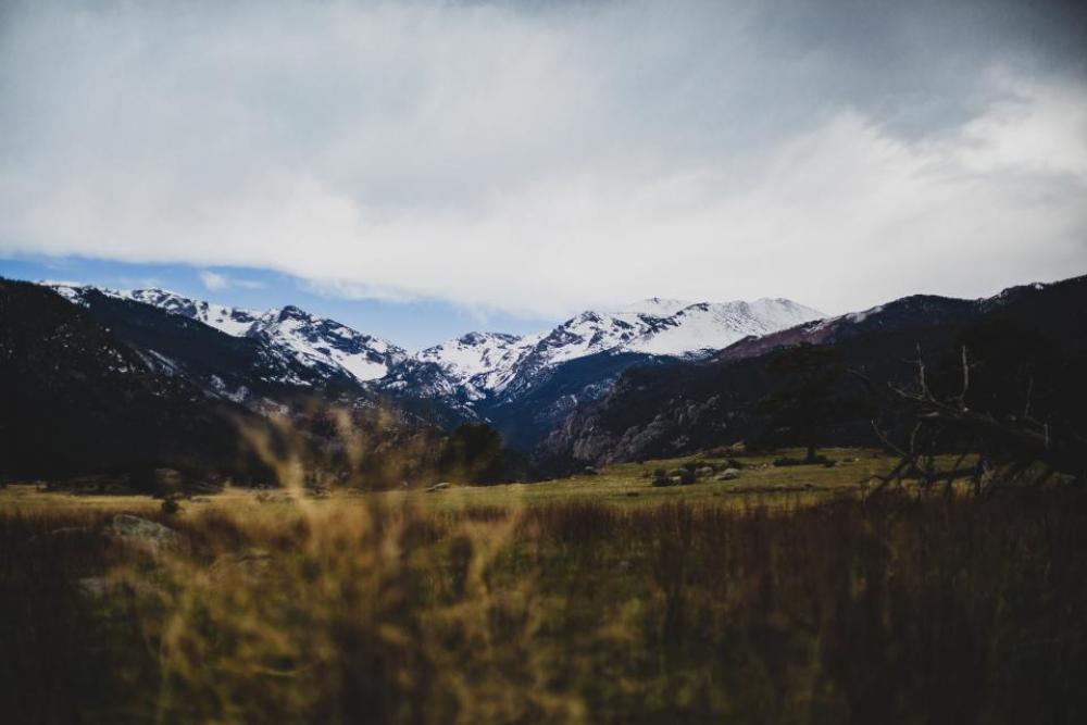 green grass nature mountain highland green grass nature mountain highland